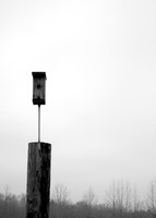 Lonely Birdhouse