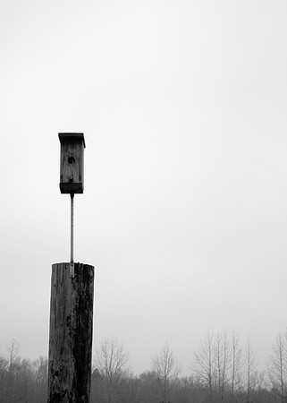 Lonely Birdhouse