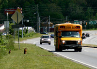 Groundhogs' First Day of School