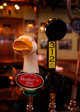 Honk If You Love Beer!